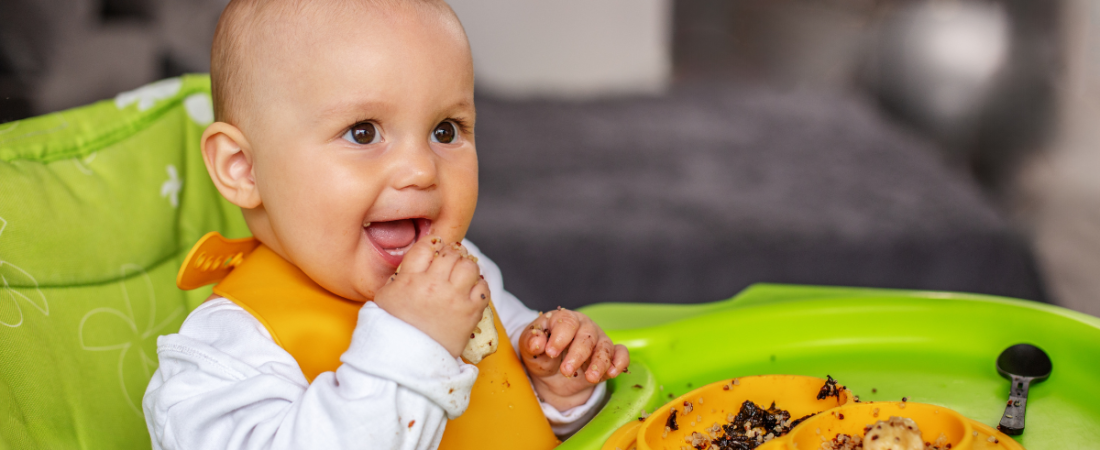 O bebê fez 6 meses! 3 dicas para a introdução alimentar
